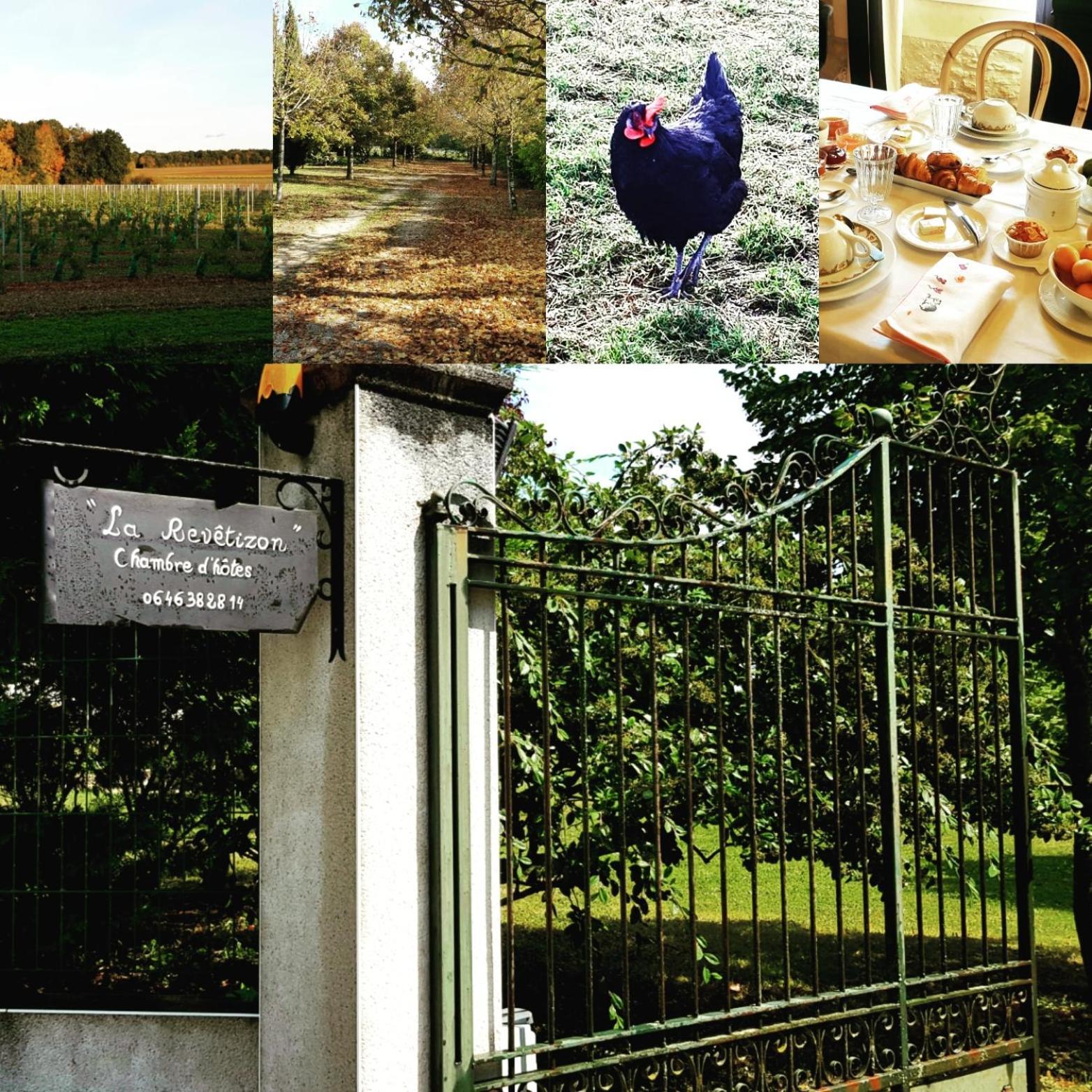 La Revetizon Bed & Breakfast Siecq Exterior photo